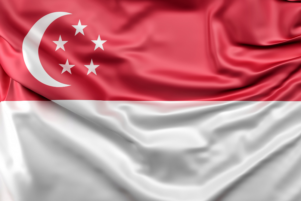 Singapore Visit Visa from Dubai